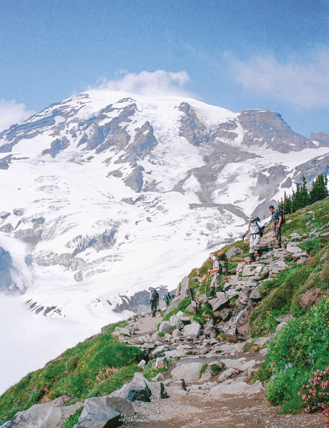 Paradise rainier bshqlz