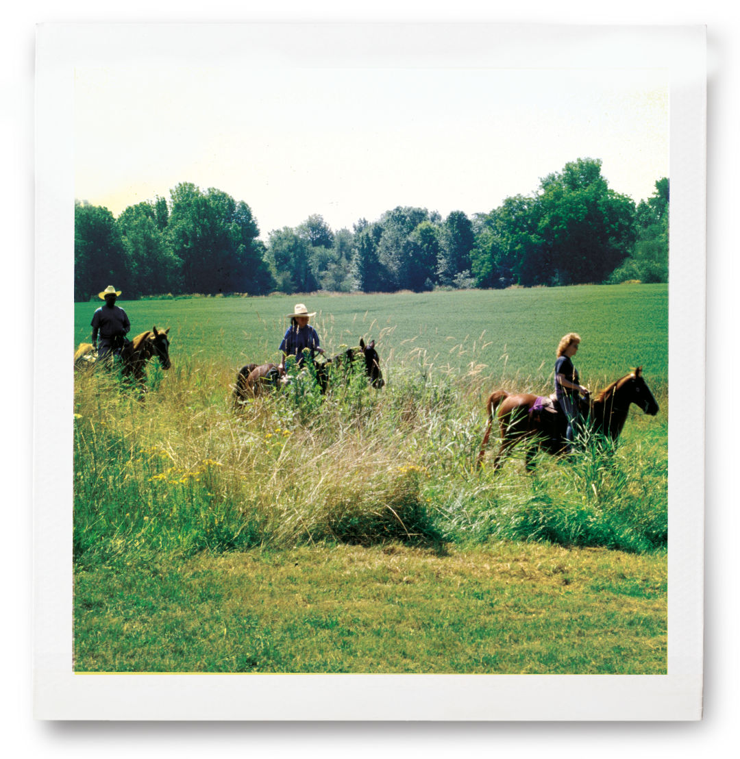 0518 field notes mission trail horses gmtdvg