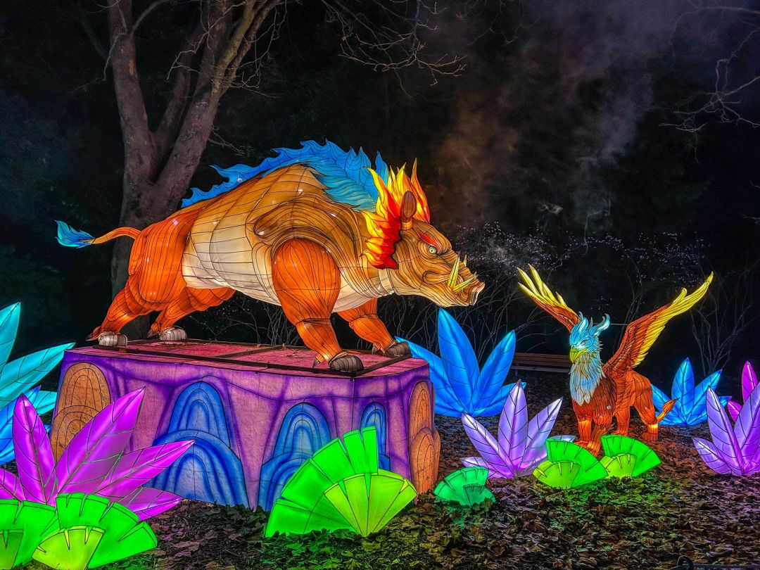 The place to See Vacation Lights In and Close to Seattle | 2023 1 WildLanterns holiday lights Woodland Park Zoo Seattle ybprdw