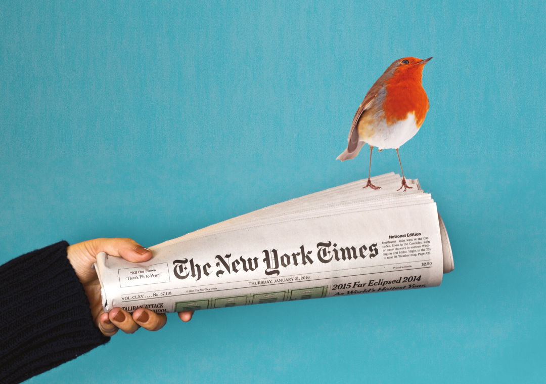 0316 nytimes mn micbll