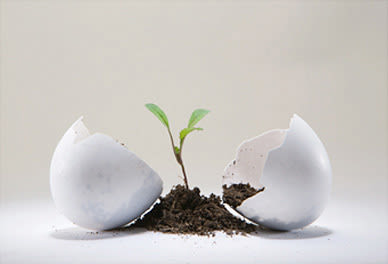 09 feb mar hand 67 egg dirt cpqegq
