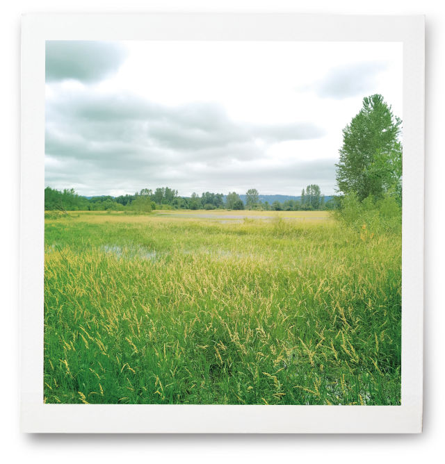 0917 field notes field dwoptx
