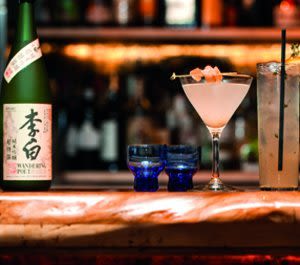Sake folgkv