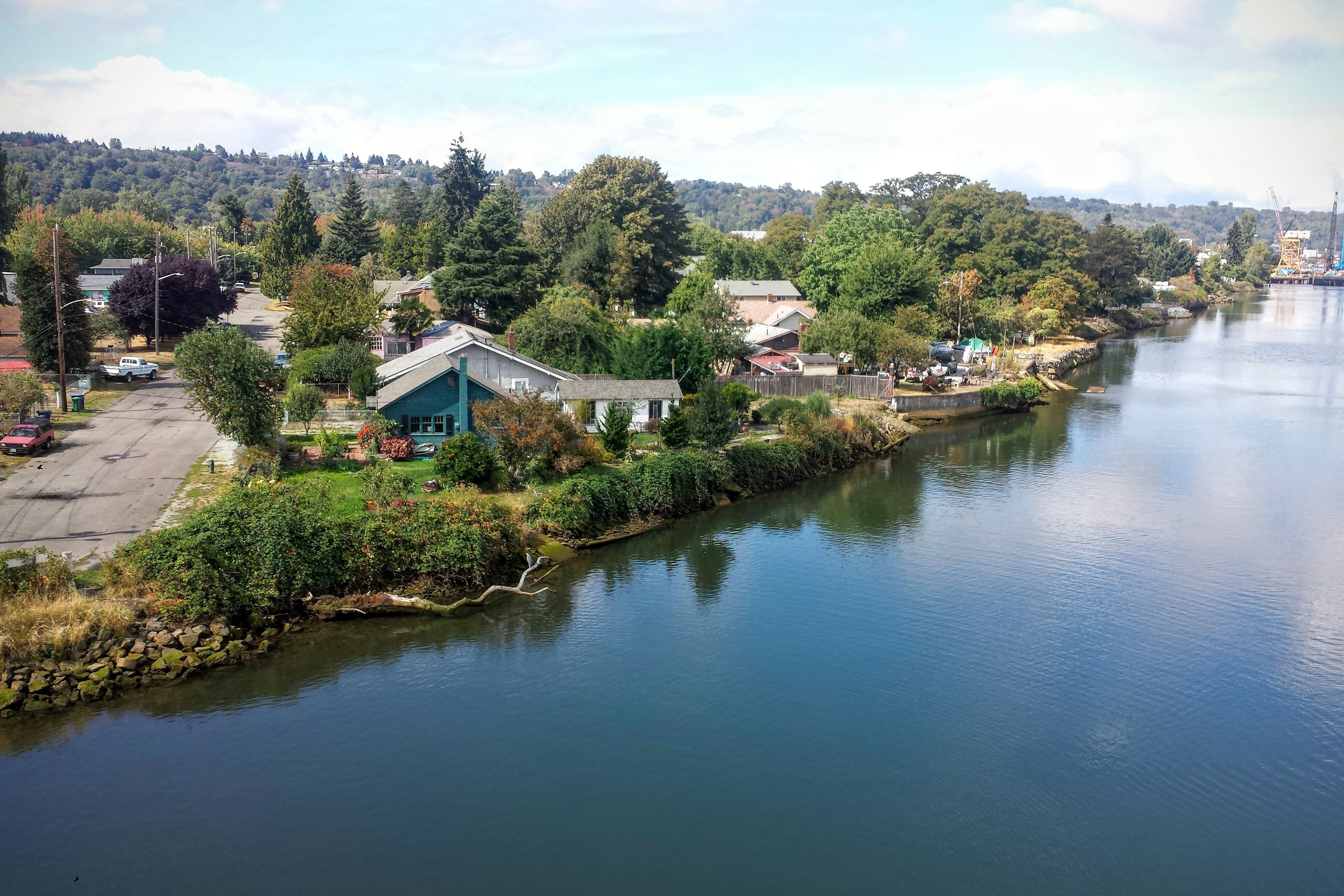 Destination Madrona [Updated] Seattle Met