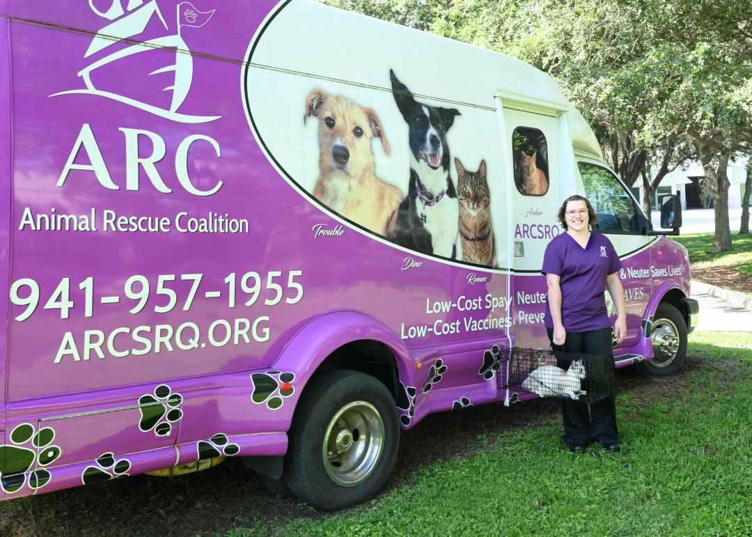 Maggie O'Brien with a cat from ARC's feral cat program.