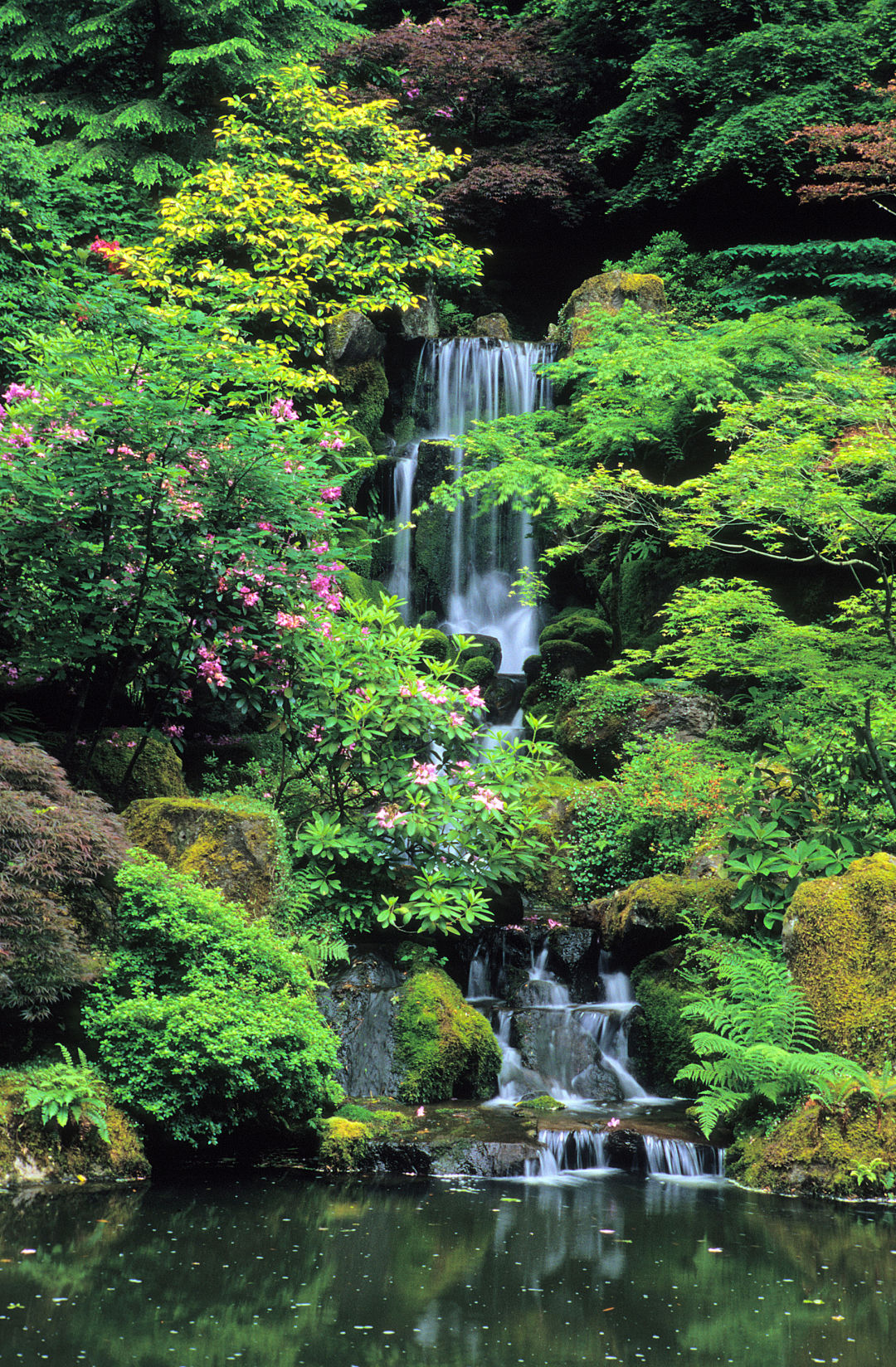 A spring heavenly falls david m cobb utfcff