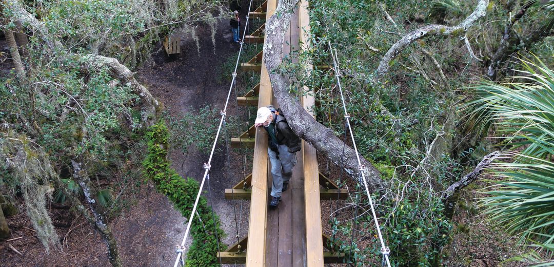 Myakka's canopy walk