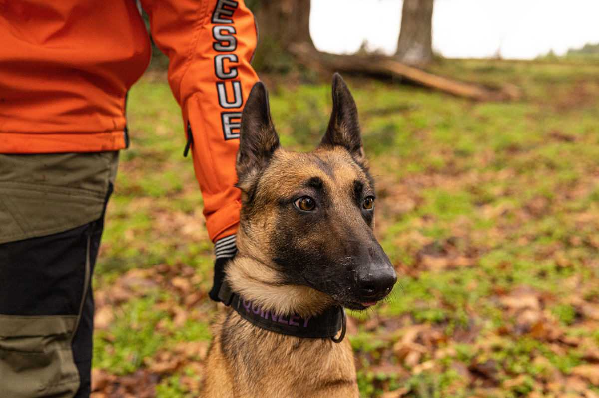How Doulas and Dog Trainers Help Find Oregon's Dead People
