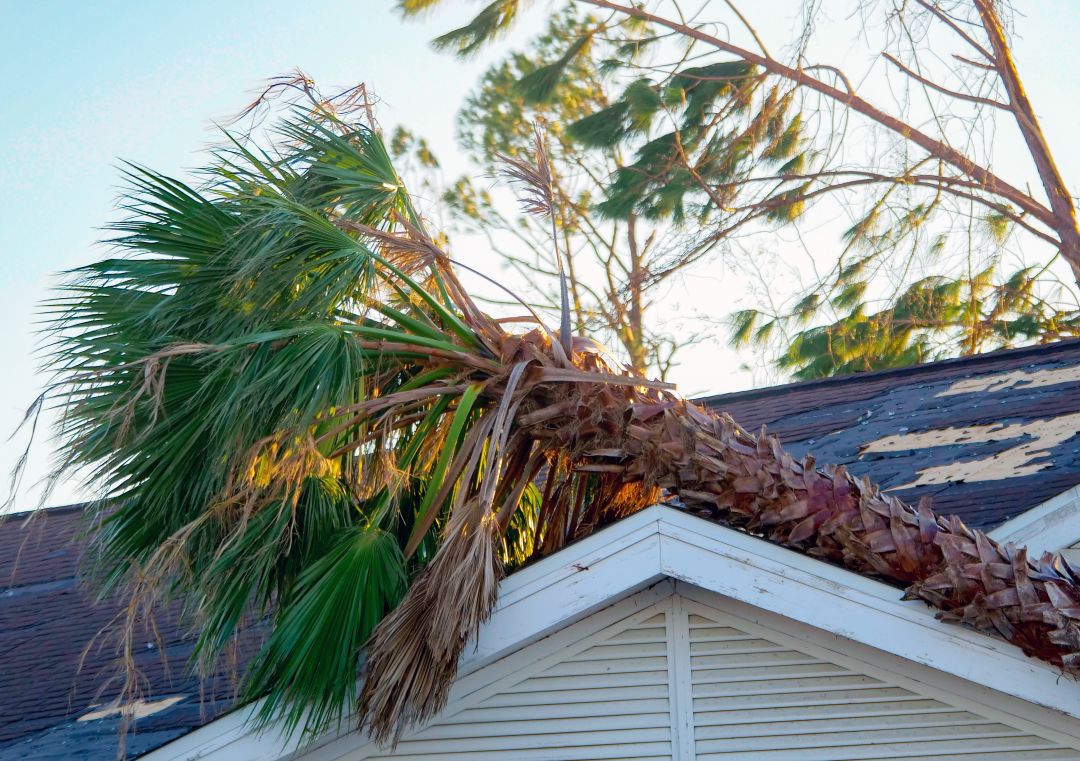 Hurricane Ian caused widespread damage throughout Southwest Florida.