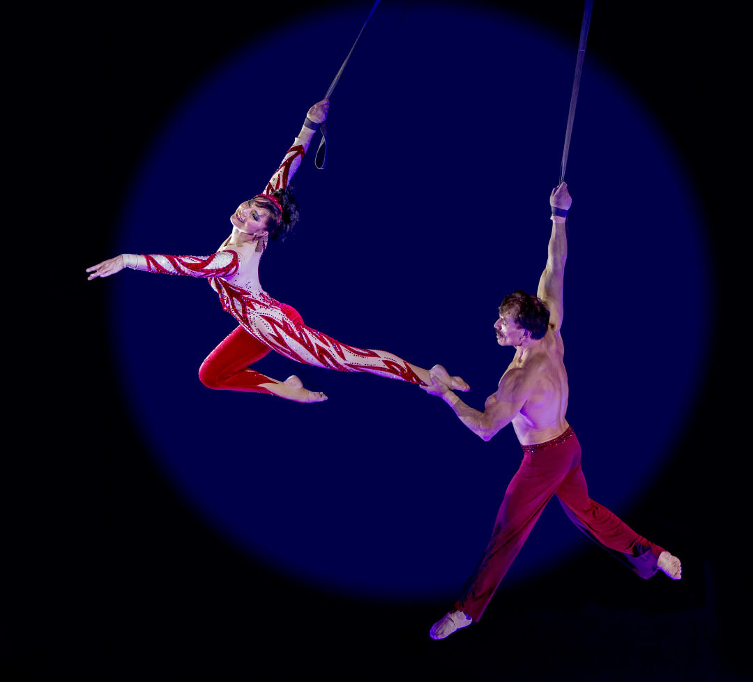 Circus sarasota dolly jacobs rafael palacios kznbzo