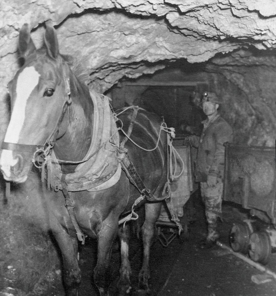 Park city summer 2012 horses mining c67xhb