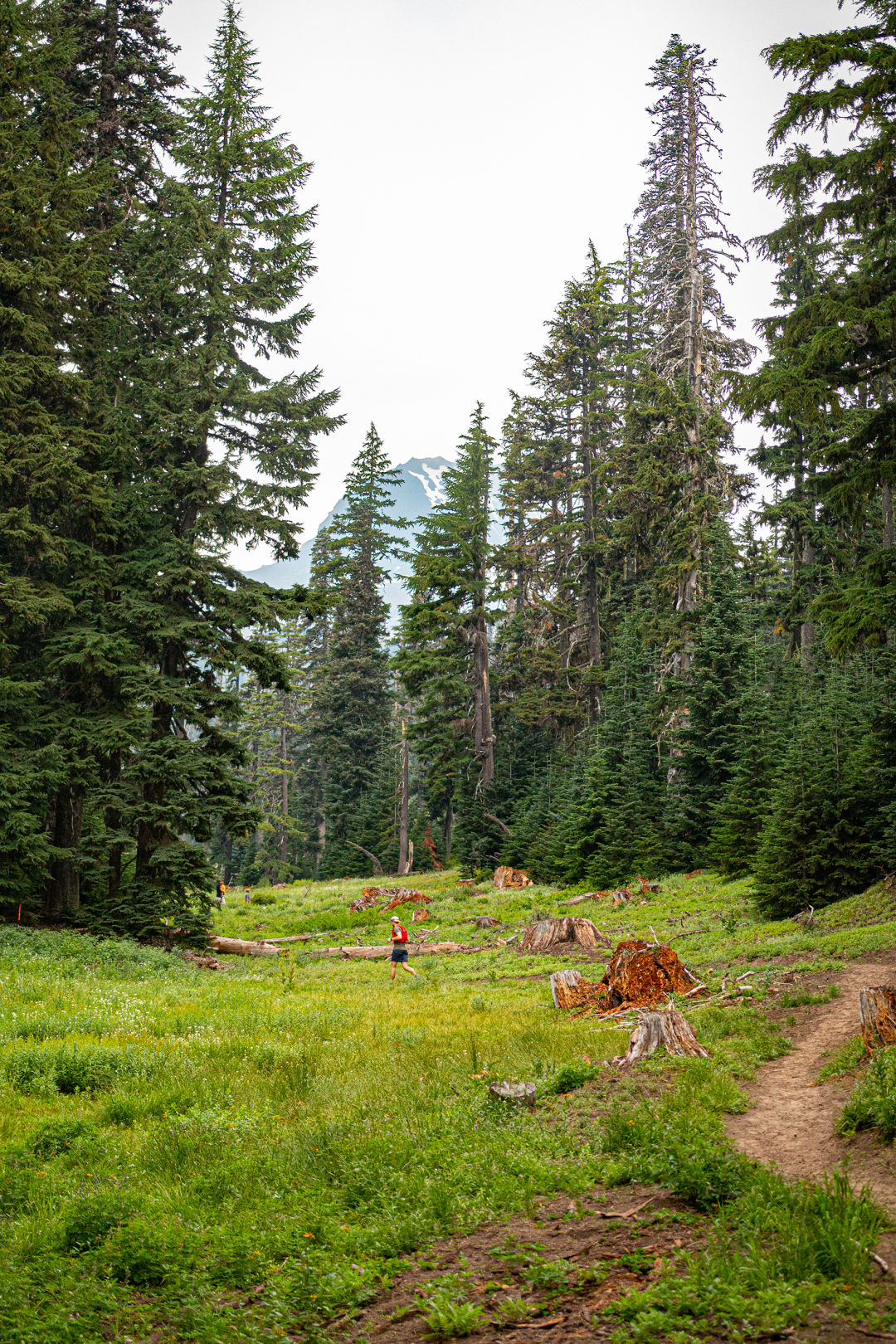 New Trails at Mt. Hood Meadows Have Officially Opened Portland Monthly