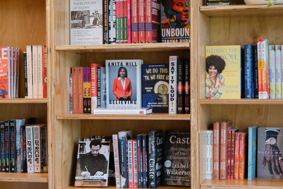Kindred Stories Shares Top Picks for National Book Month - Vimarsana News