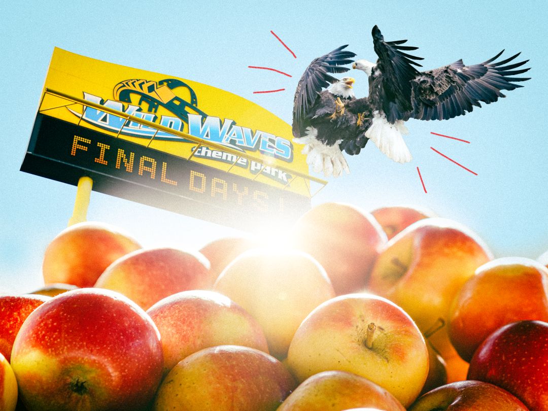 wild waves eagles icymi SM spring 2026 gn4wwj