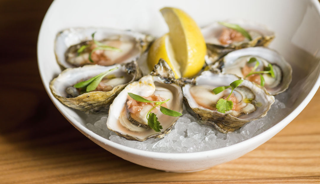 Kusshi oysters hix5b1