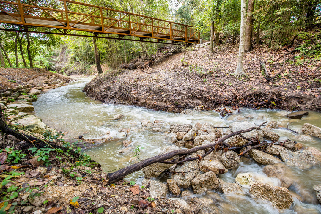 The Houston Arboretum's Ravine Trail Is Back | Houstonia Magazine