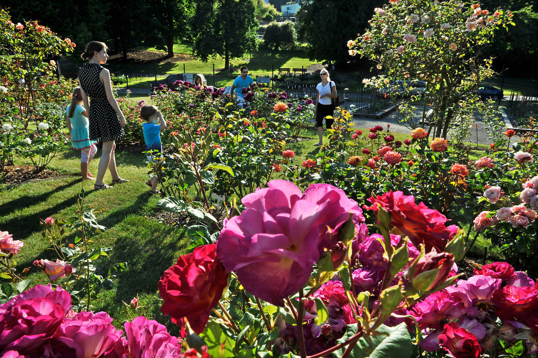 The Best Botanical Gardens Near Seattle