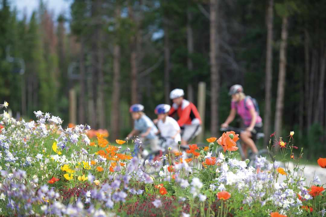 Cosu summer 2013 panorama vail resort family biking flowers q1deob