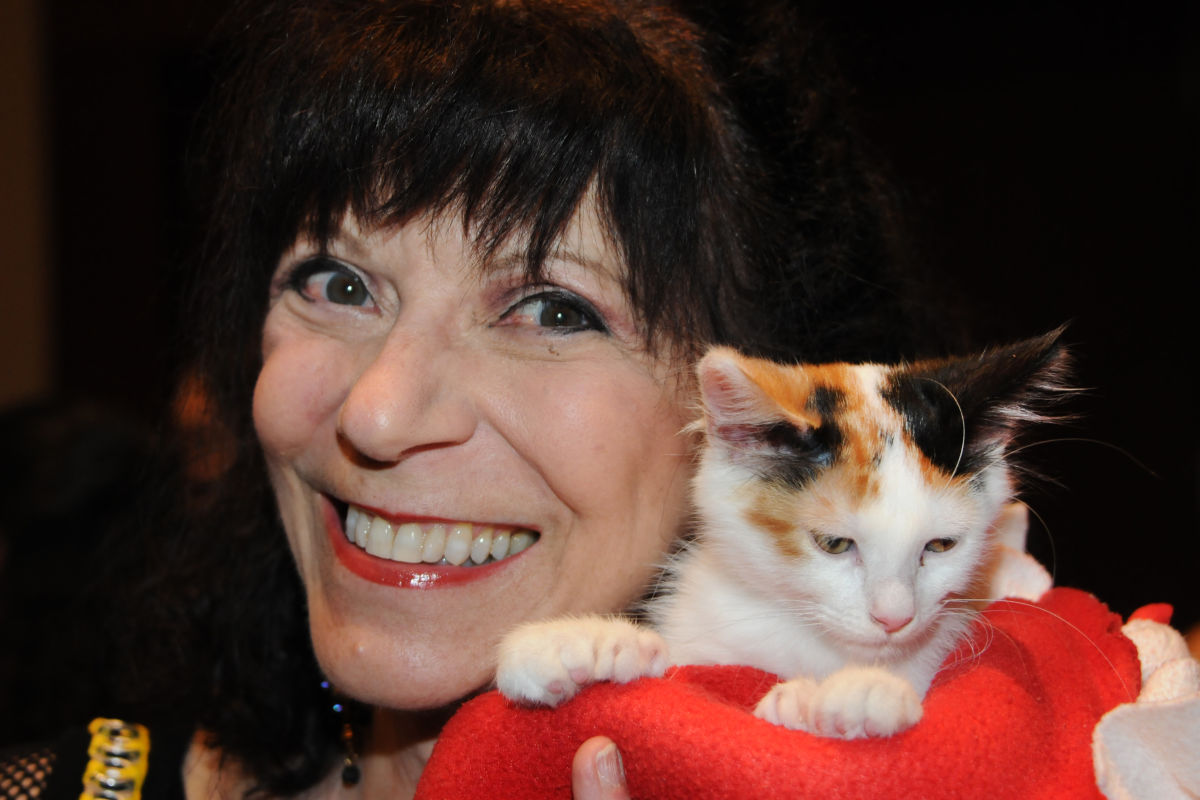 Cat Depot Gala Sarasota Magazine