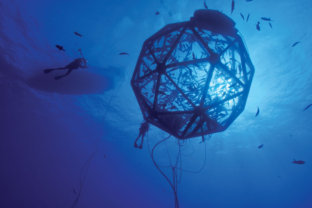 Proposed Aquaculture Facility in the Gulf of Mexico Draws Opposition from Sarasota Environmentalists - Vimarsana News