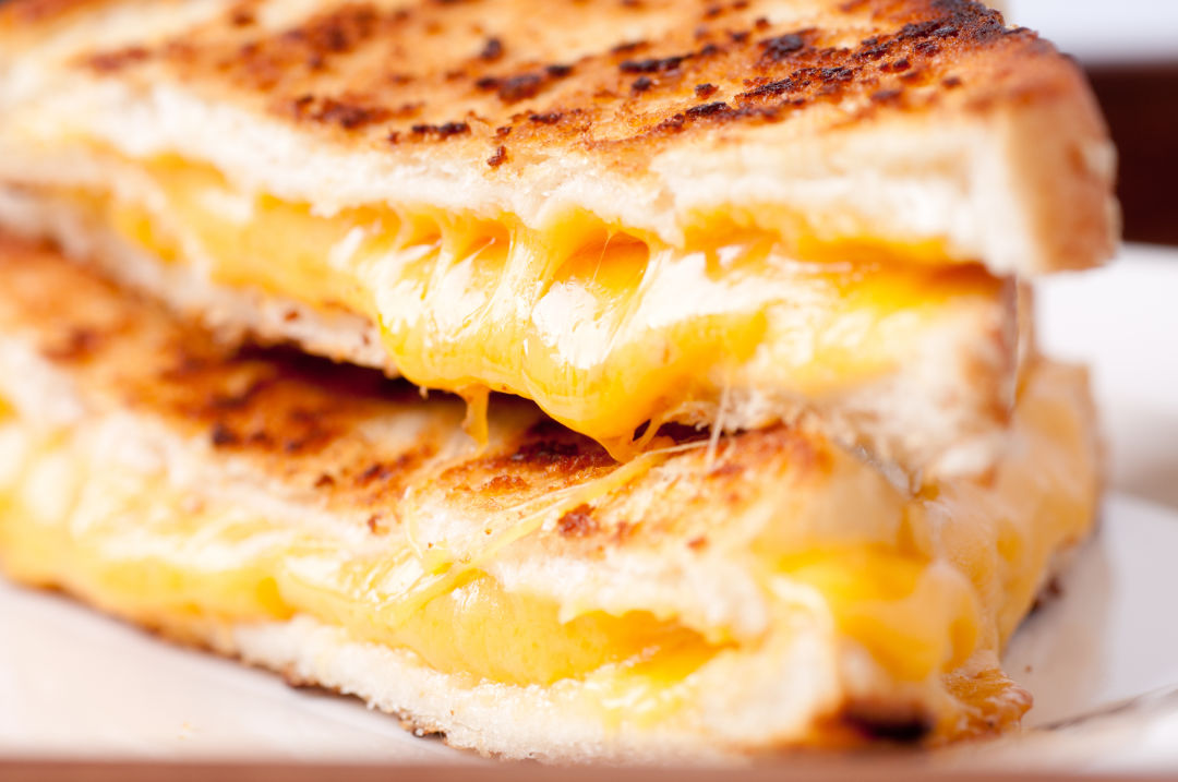 Grilled cheese tycmdi