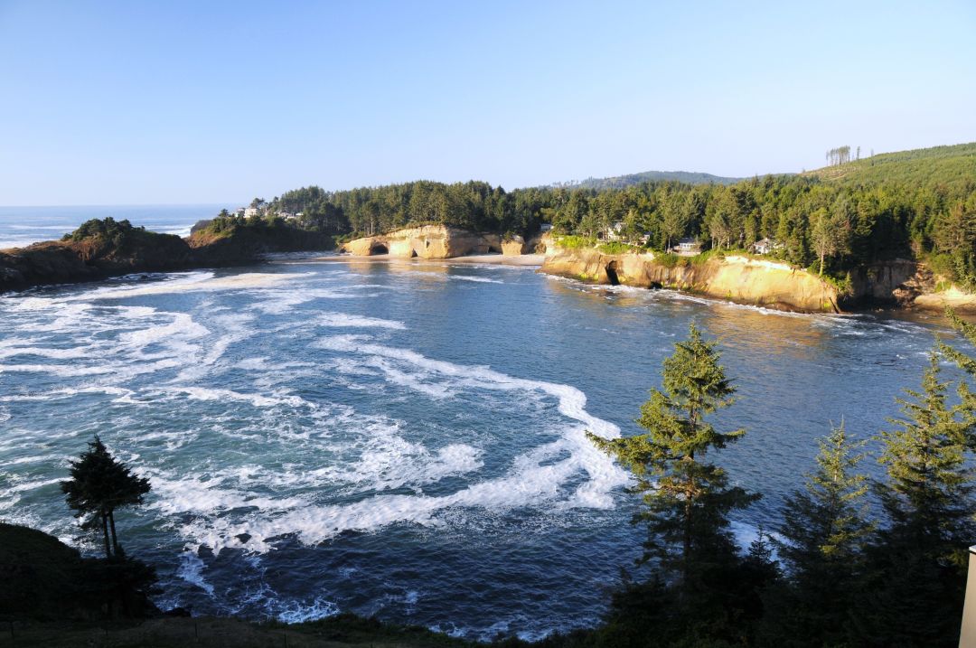 Whale cove cidjr4