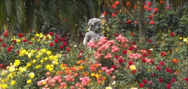 Ringling museum rose garden kj6r4k