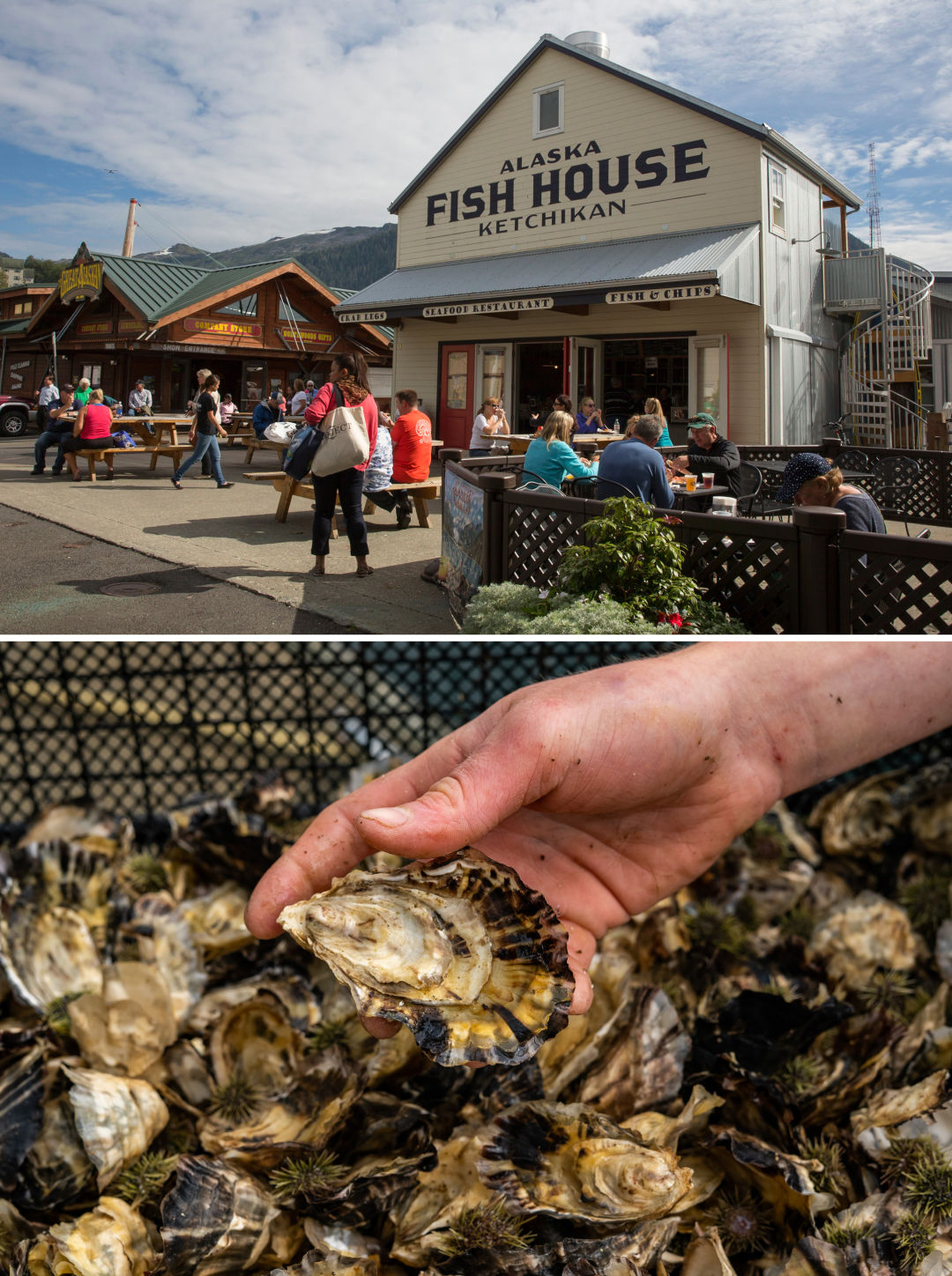 Ketchikan fish house oysters Pride Inside Passage Ketchikan9 wn4j90