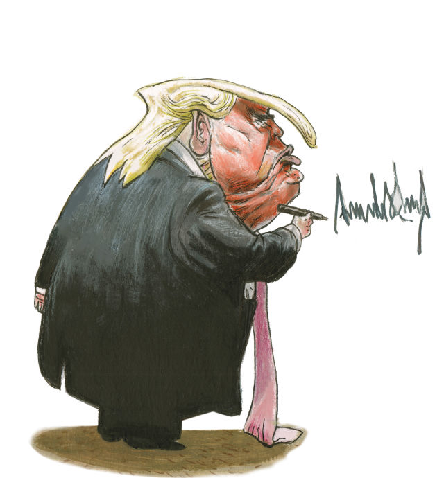 0118 icehouse trump wall yptdsy