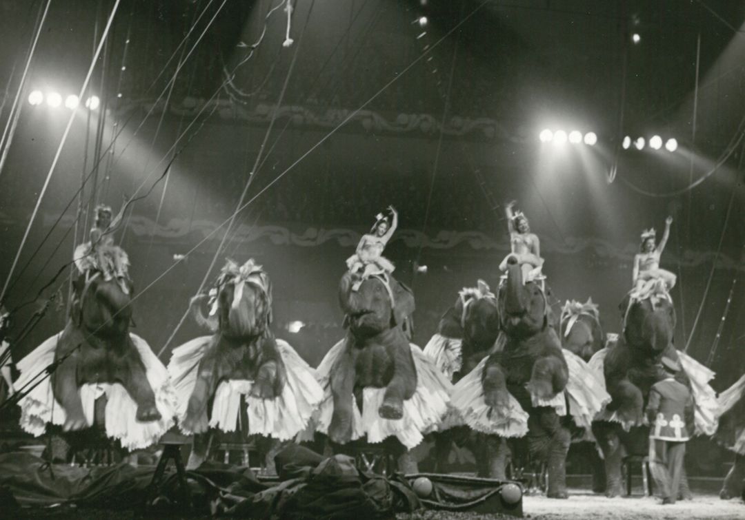 Elephants and dancers in the ring