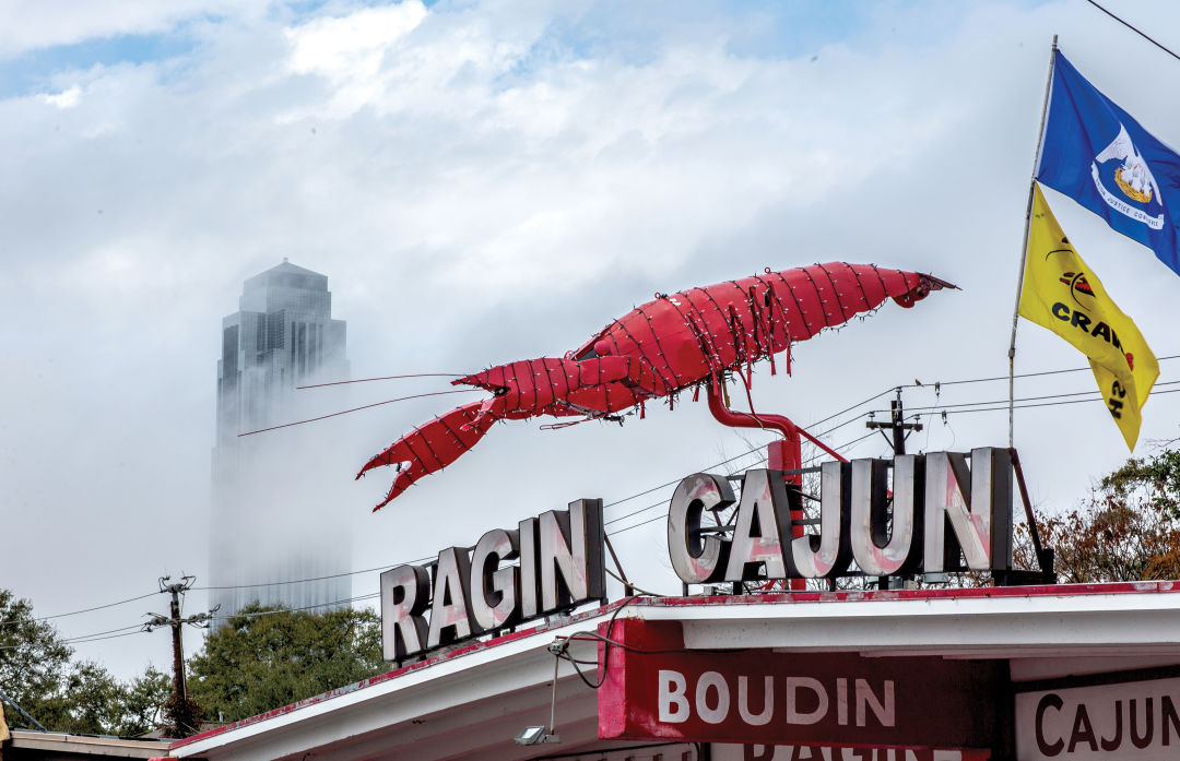 Houstonia ragin cajun 0527 gmdhhn