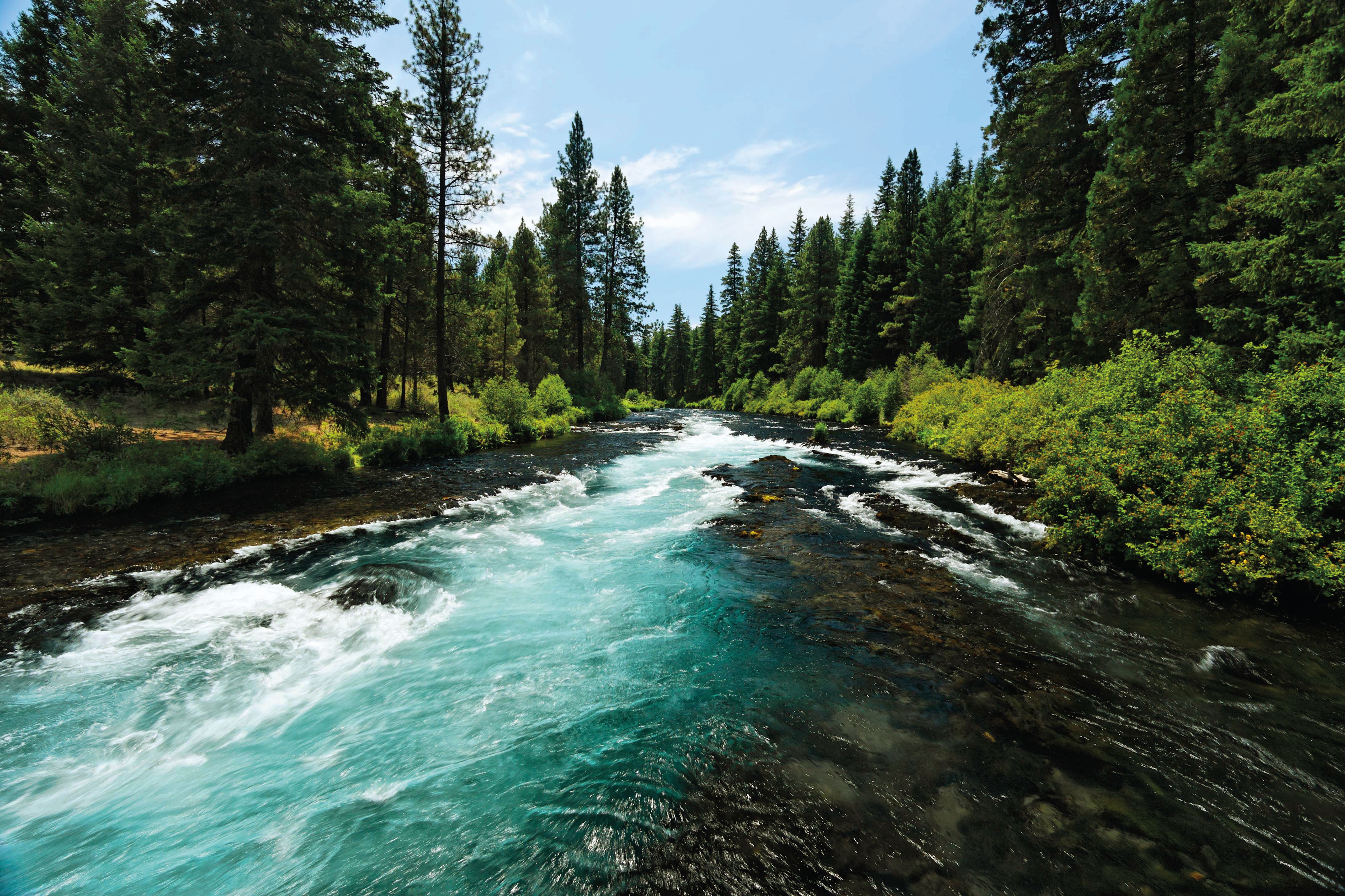 fly fishing simulator hd rogue river