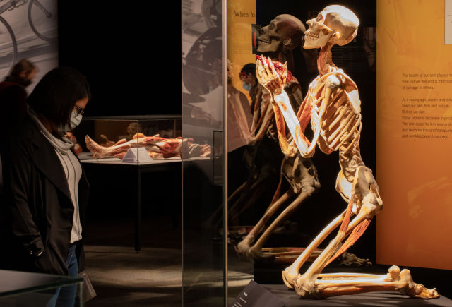 Making the 'Perfect Body' - Science Museum Blog