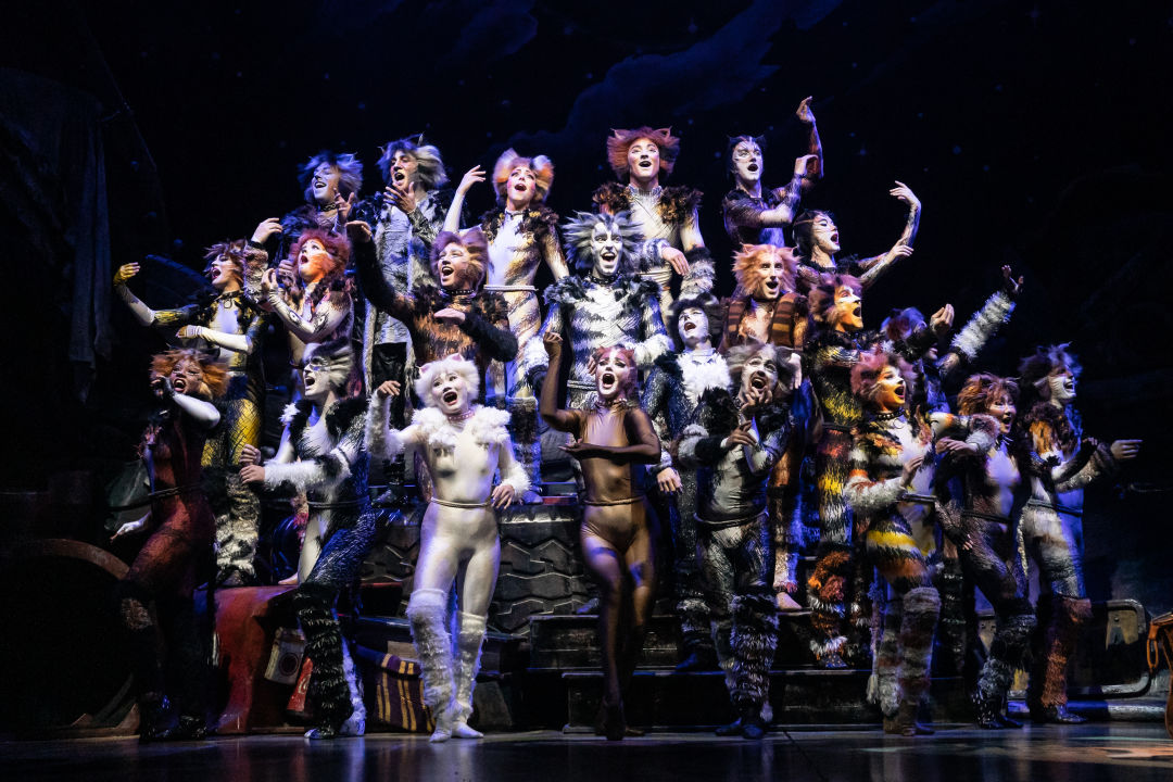 Cats is coming to the Van Wezel for three shows this week.