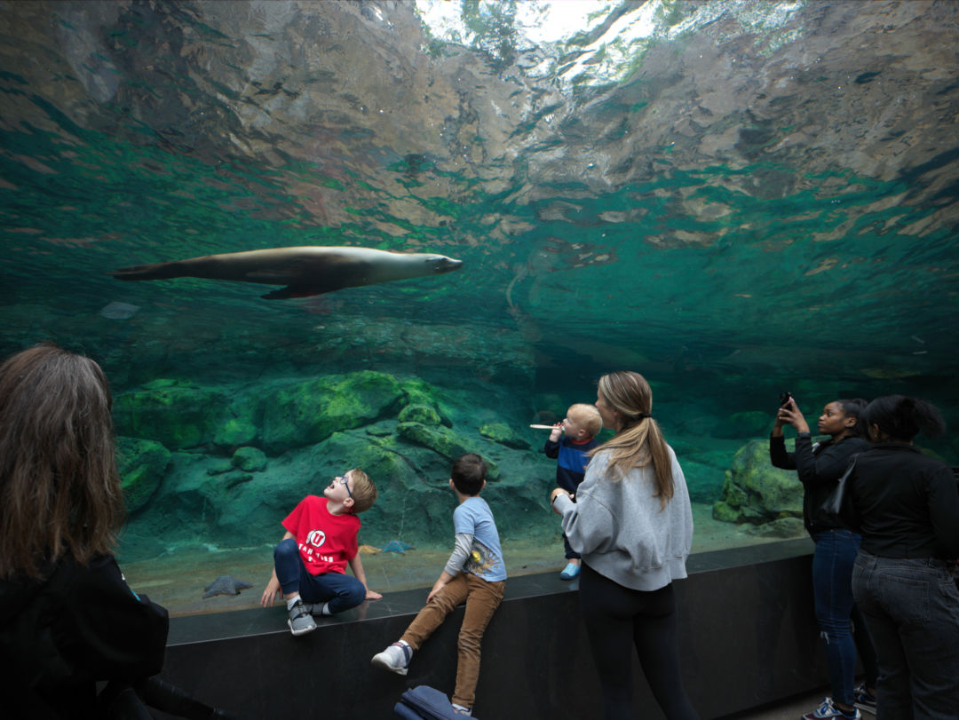 Houston Zoo’s New Galápagos Islands Exhibit Is All about Conservation