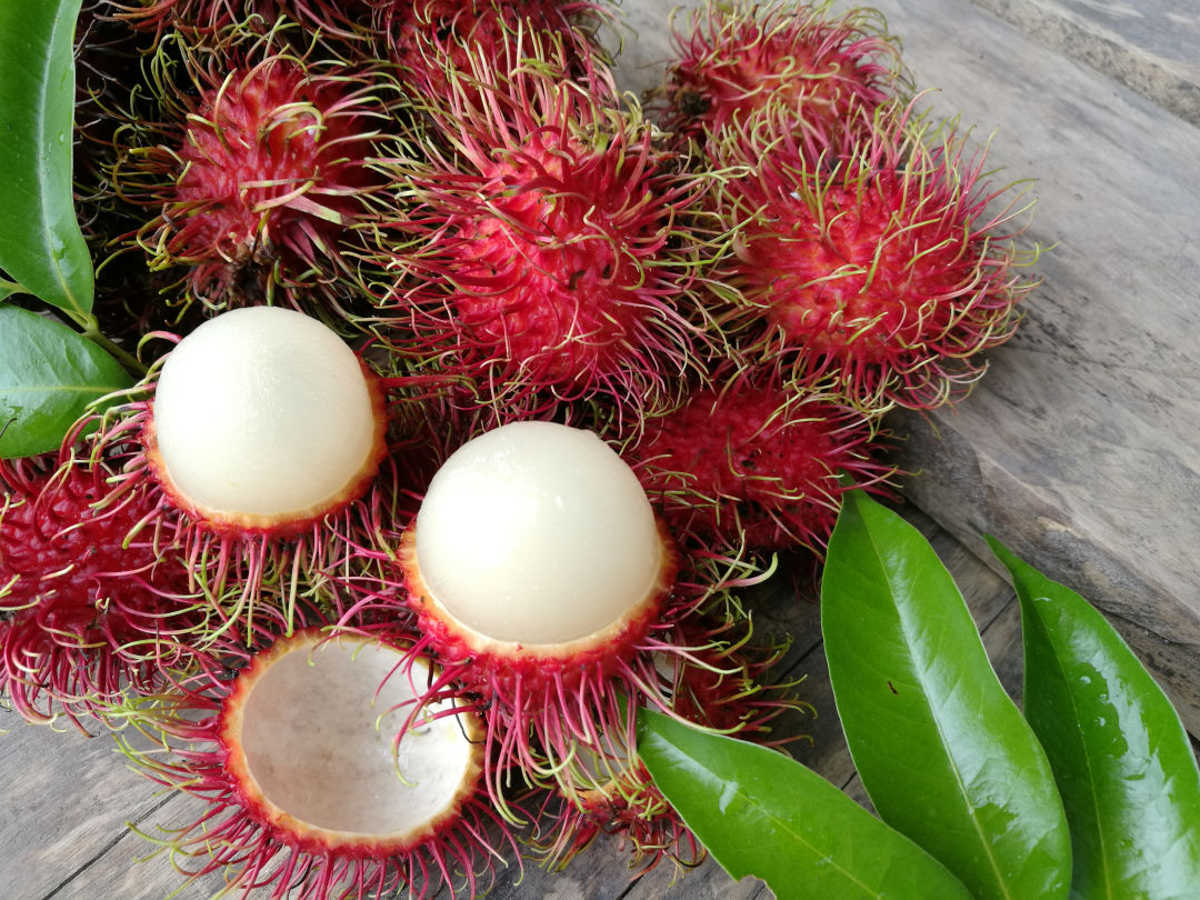 Discover The Rambutan Sarasota Magazine