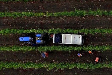 Wine and a Movie: Park City Film Series Presents #39 Decanted #39 Park City