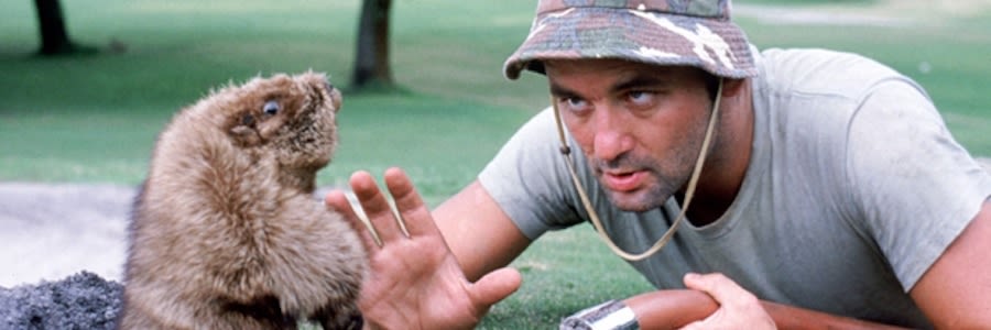 Caddyshack pfonme
