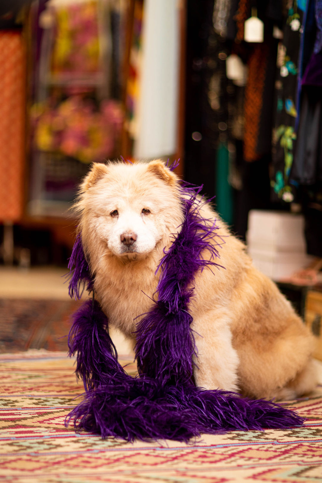 Fran with a purple scarf