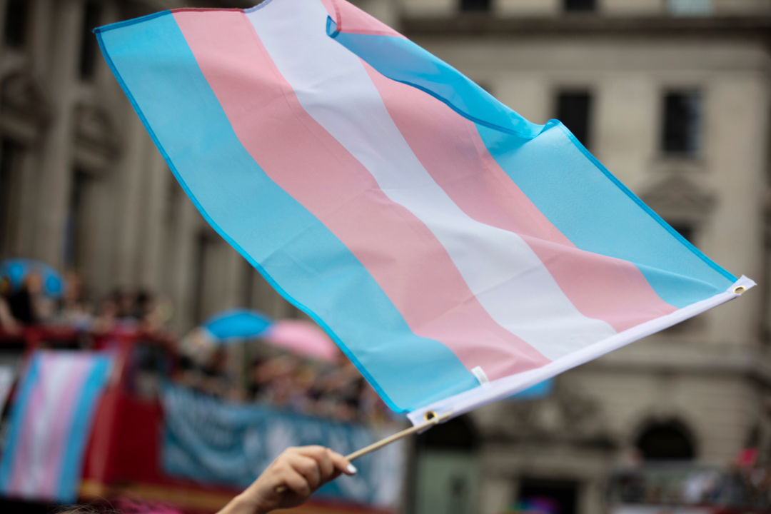 transgender flag