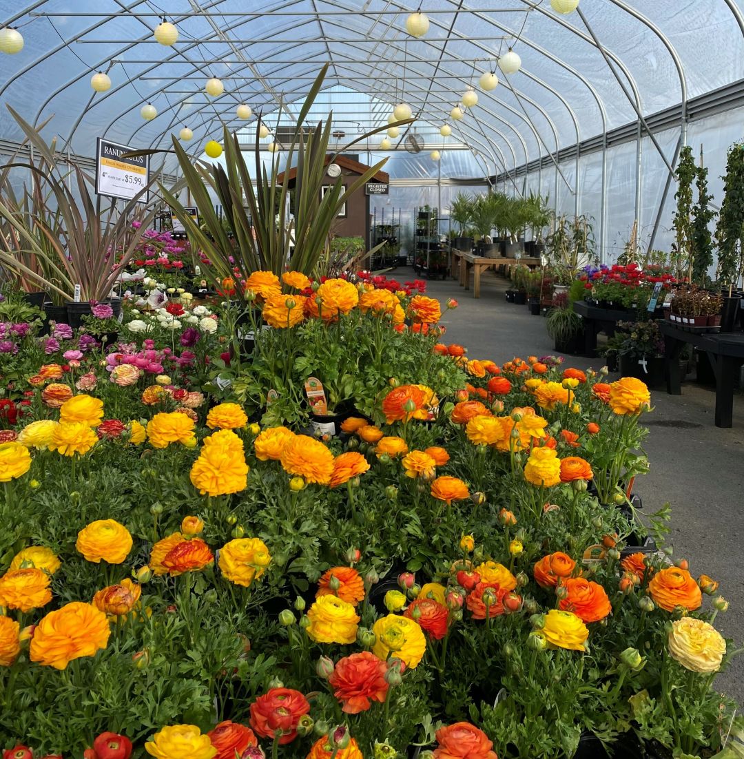 Plant S And Nurseries In Portland