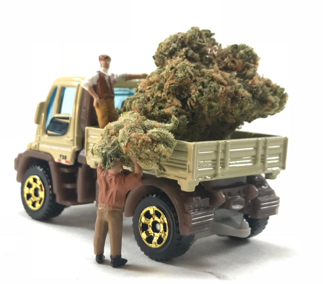 Cannabis Delivery In Las Vegas