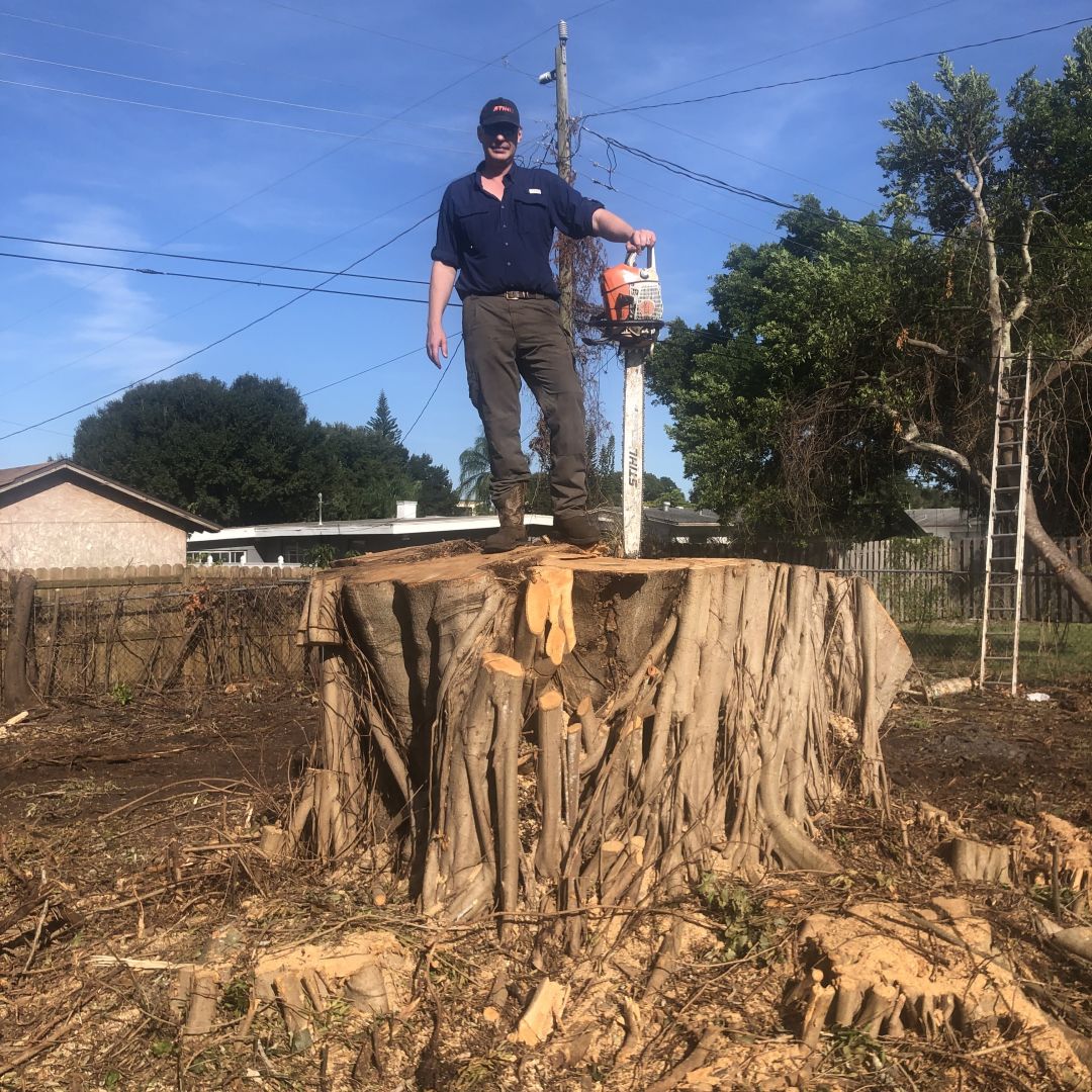 Luc Dierens, owner of Ecopro Outdoor Solutions standing on a huge cut down tree trunk.