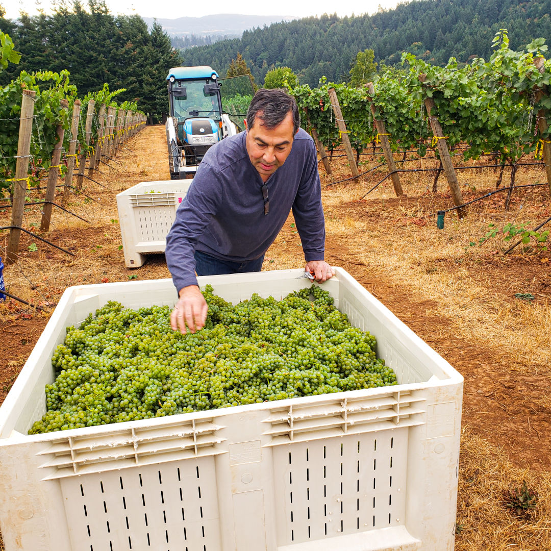 ayoub-best-winery-vineyard_zheedc The Best Wine Tasting in Oregon’s Willamette Valley