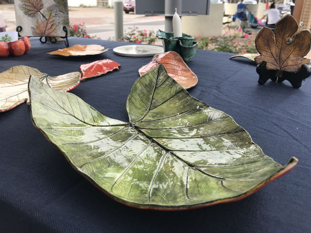 0218 vita verde elephant ear i7eg3a