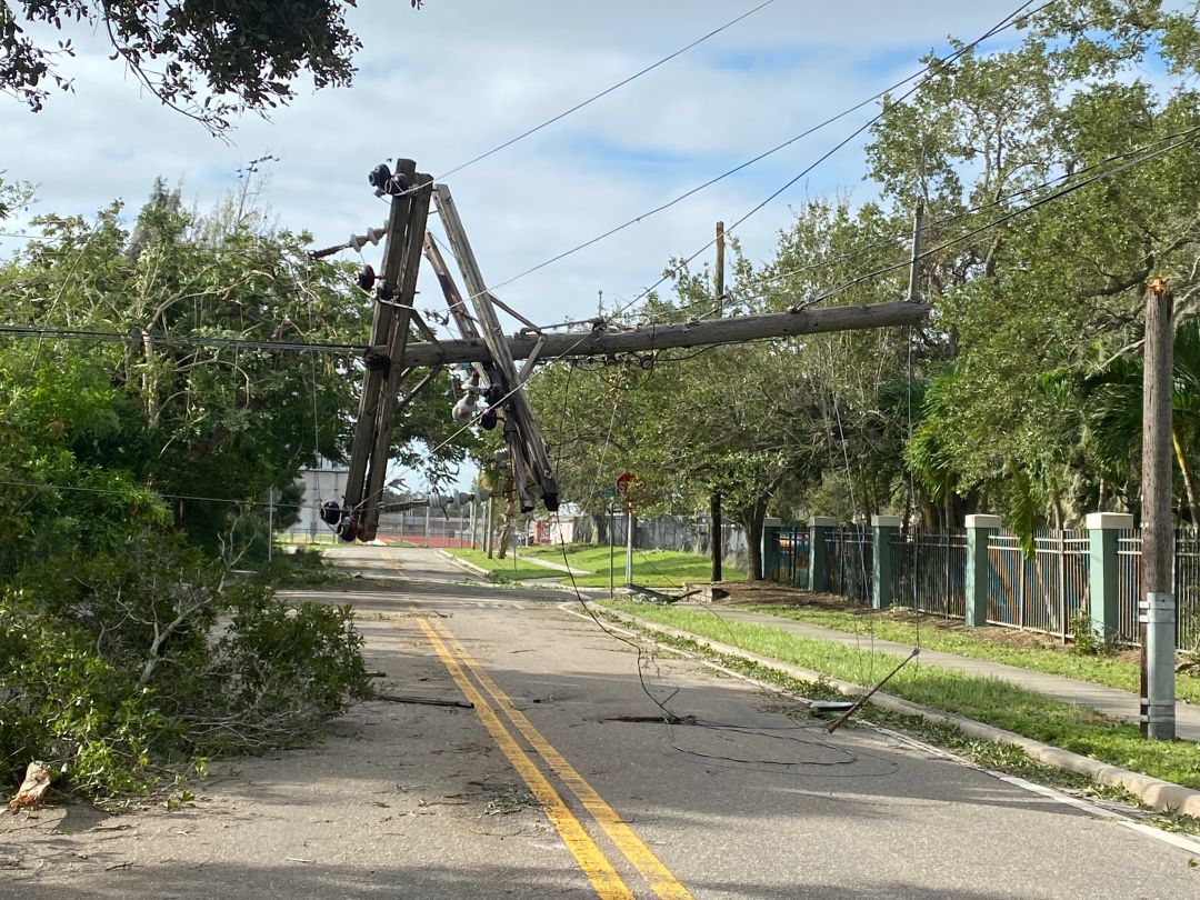 East avenue south, near corner the corner of Wood Street in downtown Sarasota