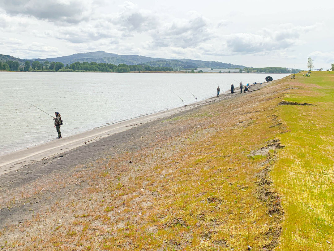 A sloping river beach with yellow and green plants growing and several people holding fishing rods
