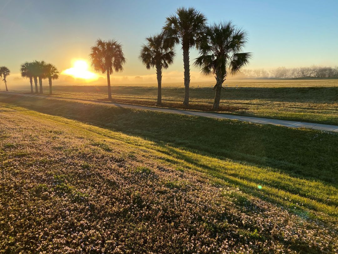 The Quad Parcels at the Celery Fields