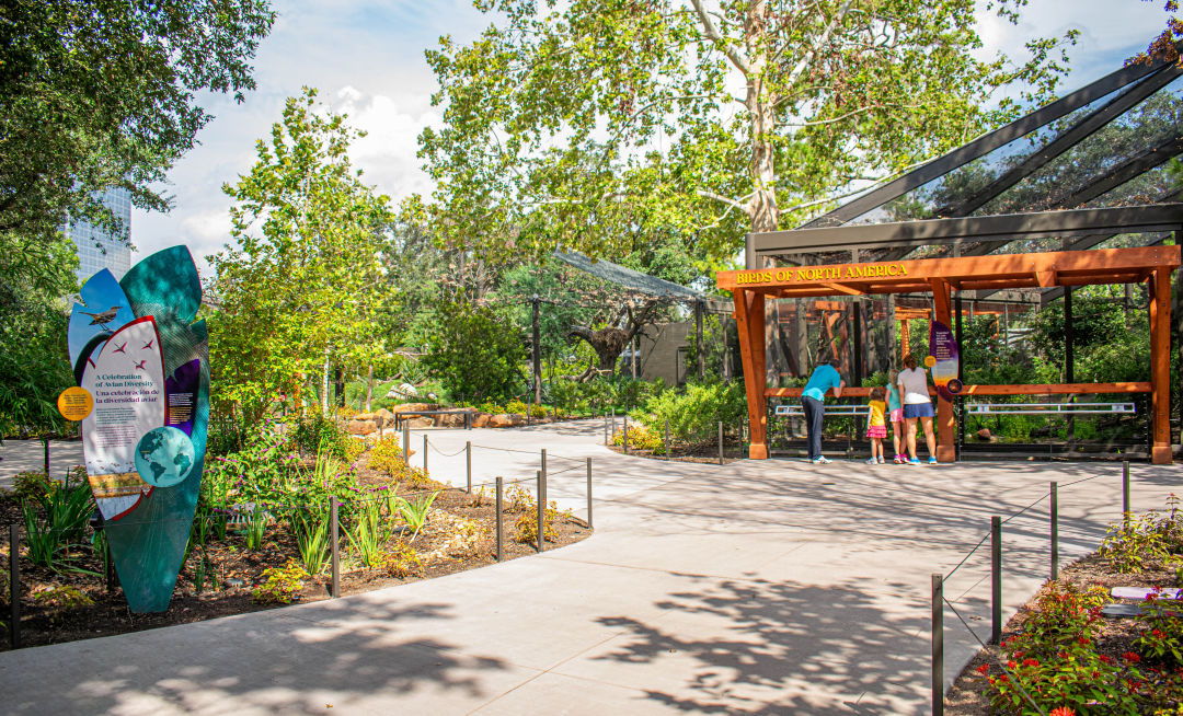 A sunny day at the Birds of the World exhibit at the Houston Zoo. There are people standing near the pavilion labeled "Birds of North America." There is a walkway lined with plants and tall trees stand in the background.