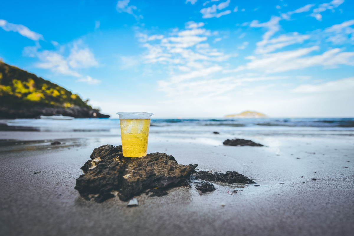 12 Essential Oregon Coast Bars - Vimarsana News